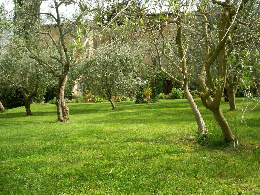 سان جيمينيانو Podere Il Caggio Rooms المظهر الخارجي الصورة