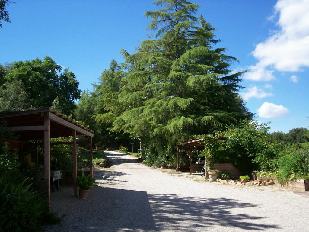 سان جيمينيانو Podere Il Caggio Rooms المظهر الخارجي الصورة