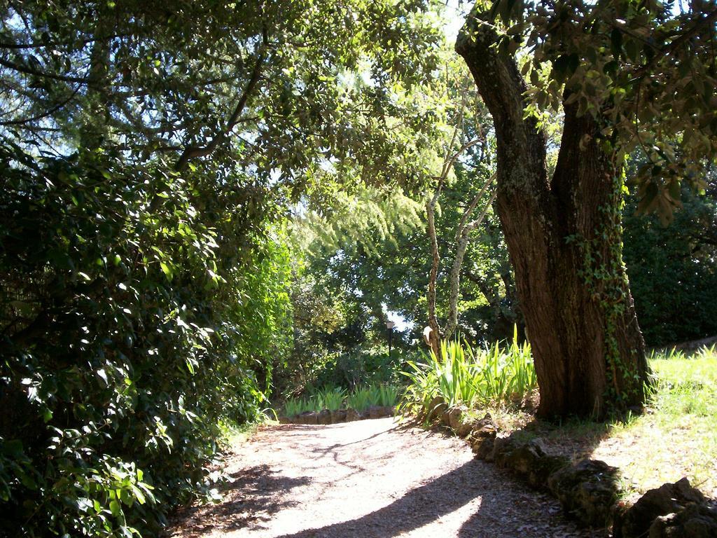 سان جيمينيانو Podere Il Caggio Rooms المظهر الخارجي الصورة